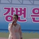 은빛사랑비타민
