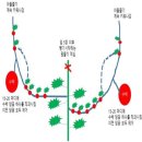 ♥ 콩 순지르기(콩적심), 참외 &amp; 수박 순지르기 그림 / 순치기 방법 이미지