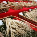 풍기체육관 이미지