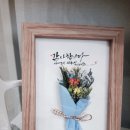 바오캘리 이미지