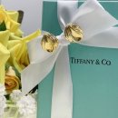 아일랜드 앤 코 이미지