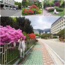 백암온천 관광지 이미지