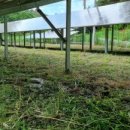 초월 태양광발전소 이미지