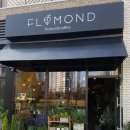 플로몬드