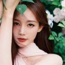 황용 티스토리