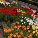 면목현대 이미지