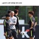 골드독 펜션 이미지