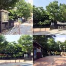 국화어린이공원 이미지