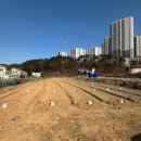 선은농장 뉴시스