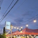 신월축산 | 대구 월성동 포장마차 골목 - 달서구포장마차 솔직 후기