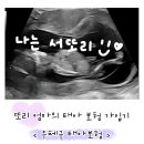 삼성우체국 | 임신 12주-14주 │ 우체국 태아보험 가입후기 (가입 방법, 태아보험 졸업 후기 ✔️)