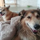 허그안리트릿 네이버블로그