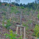 토지나라공인중개사사무소 이미지