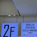 롯데마트 2 입구 | 배곧 쭈꾸미 맛집 - 롯데마트2층 민들레홍스 방문후기 !