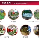선도농협김치가공공장
