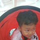 수호태권스쿨 이미지