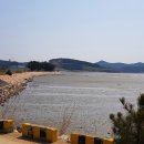 LG사원아파트 앞 이미지