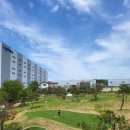 마스타골프 이미지