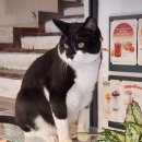 부천로66번길 이미지