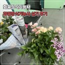 화훼장식기능사 실기/ 부산 화훼장식기능사 실기시험 후기