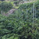 버든농장 이미지