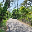 명봉산솔밭관광농원오토캠핑장 이미지