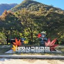 내장산국립공원화장실(벽련암) | 내장산 단풍 현황, 우화정, 내장사, 원적암, 벽련암 탐방