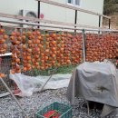 옥계 백봉이네 이미지