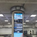 (주)조렌트카 | 4박5일 제주도 여행 | 첫째날, 둘째날 | 제주현대렌트카, 먹돌고기국수, 성이시돌 목장, 오설록, 용두암...