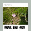 보리수콩국수 | 가족 총출동! 배봉지 싸고 온 하루｜주말 배밭 브이로그 #06