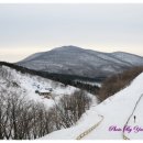 감천목장 이미지