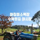 수목원목장 | 아이들과 제주도 한달살기 25일차 ㅣ 제주 아침미소목장 아이와 가볼만한곳, 수목원길야시장까지
