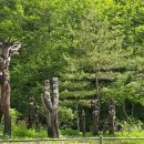 대교펜션 이미지