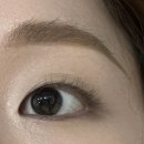네일하라유 | 래쉬키미 | 홍대 속눈썹펌 맛있다.