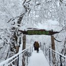 12월31일~1월1일 동해바다 해맞이명소로 떠나는 새해일출 무박여행[31인승리무진] 이미지