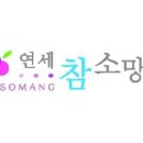 연세참소망치과 네이버블로그