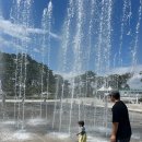 한솔공원 화장실 | 충주 탄금공원 아이와 당일치기 피크닉 가볼만한곳 꽃밭 나무숲놀이터 분수대 물놀이까지