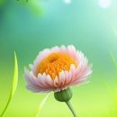 김*은 - 안양시 동안구 호성로 8 | 김*은