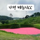베뉴지 cc 네이버블로그