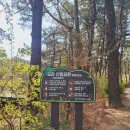 모라산림공원 이미지