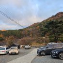 대구 근교 키즈 오토캠핑장 청도 캠핑장 마운틴 뷰 캠프 1530