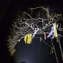 내서읍531 이미지