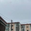 청수 | 인천유명한점집 젊은 무당 신점 청수궁 후기