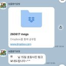 투어바다 | 보홀 몽키호핑 발리카삭 투어후기 | 바다거북이랑 같이 수영한 날