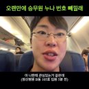 웬만해선 개들을 막을 수 없다 | 웬만해선 그들을 막을 수 없다