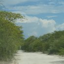 아프리카 7개국 종단 배낭여행 이야기(52)..Okavango Delta(1).. 여행할 자격이 없는 사람들 이미지