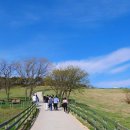 도실목장 이미지