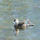 빛가람 호수공원 이미지