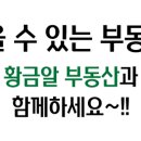 강화초교 이미지