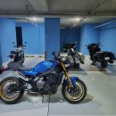벚꽃주유소 | 합천 벚꽃 구경 야마하 XSR900